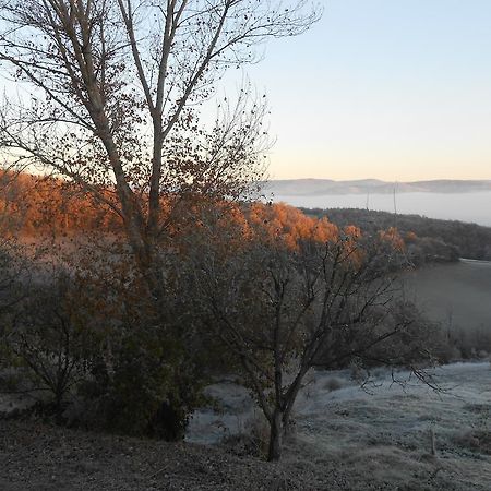 Gite Des Monts Saint-Izaire Экстерьер фото