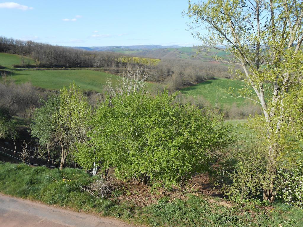 Gite Des Monts Saint-Izaire Экстерьер фото