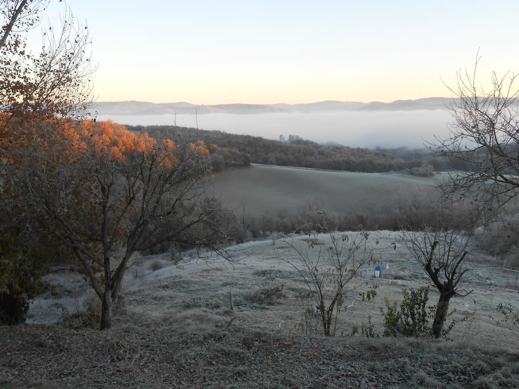 Gite Des Monts Saint-Izaire Экстерьер фото