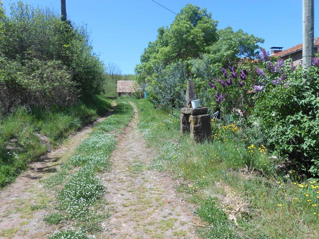 Gite Des Monts Saint-Izaire Экстерьер фото